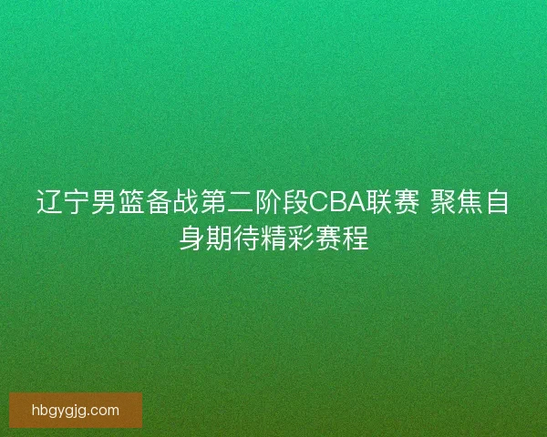 辽宁男篮备战第二阶段CBA联赛 聚焦自身期待精彩赛程